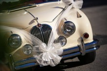svatební dekorace na auto